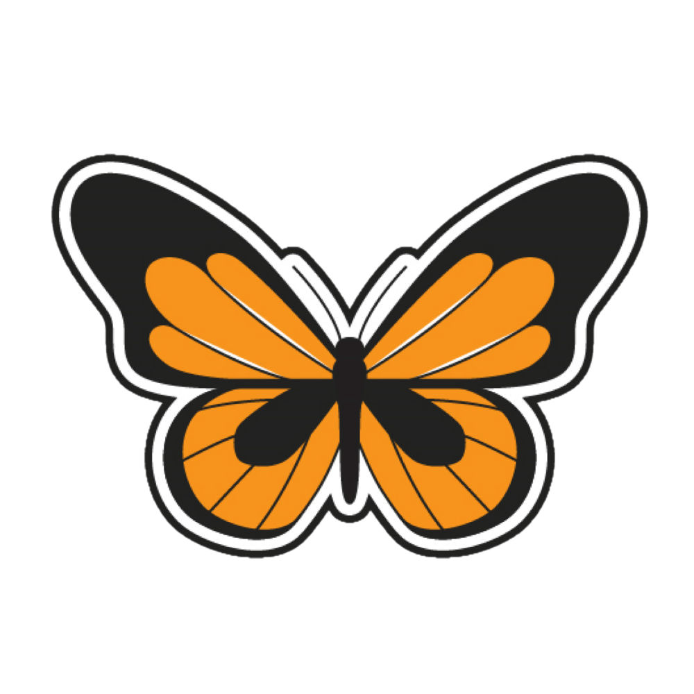 butterfly-pic-AN1005