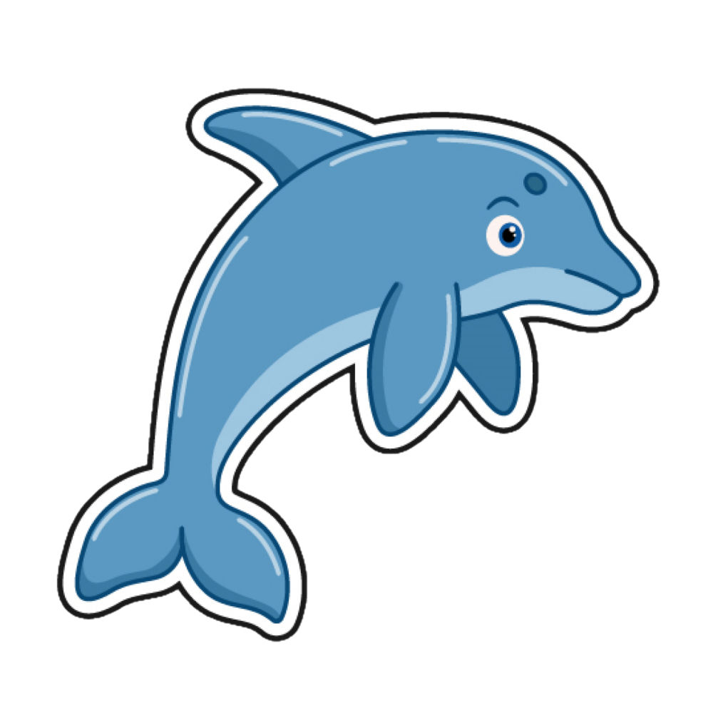 dolphin-pic-AN1007