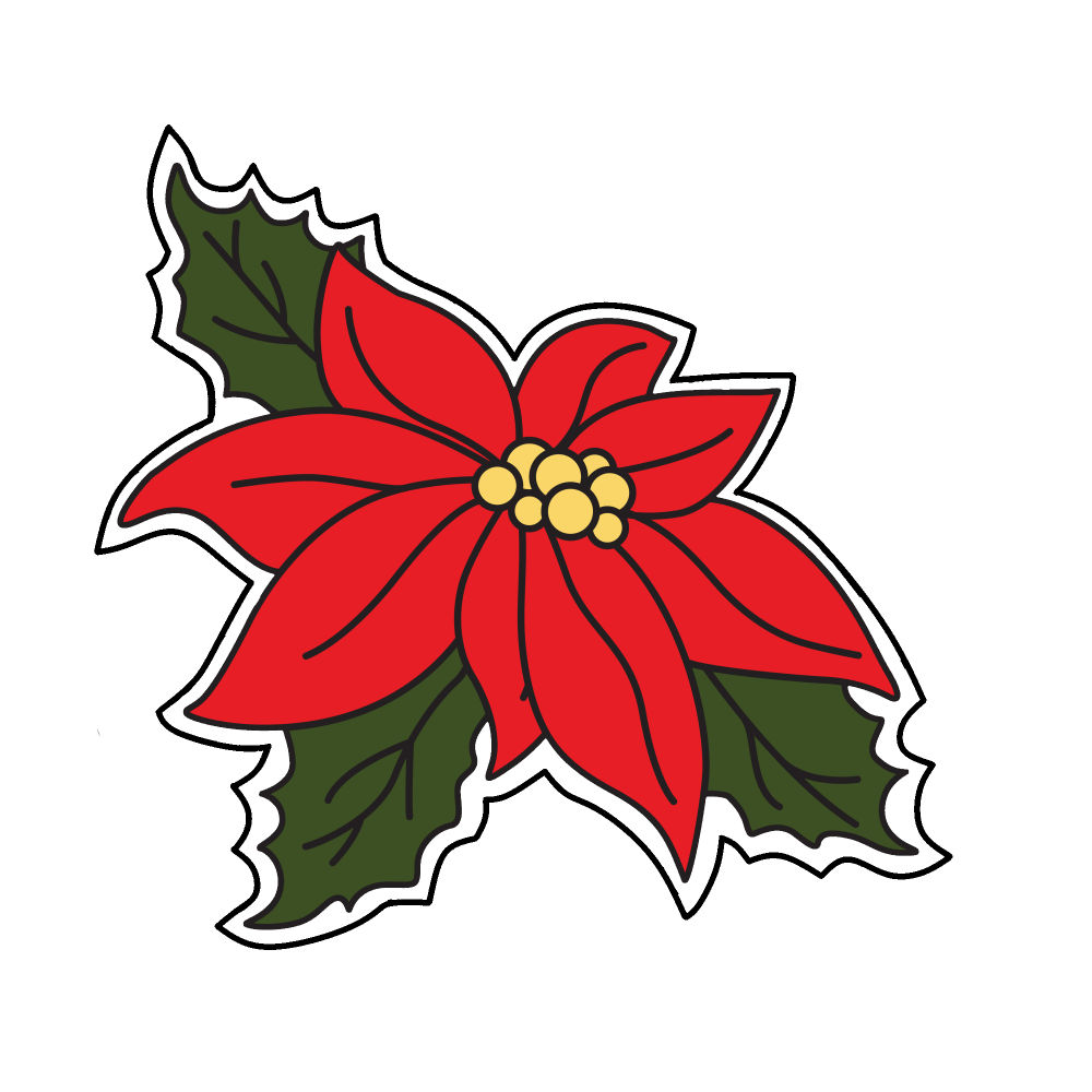 mistletoe-pic-CH1011